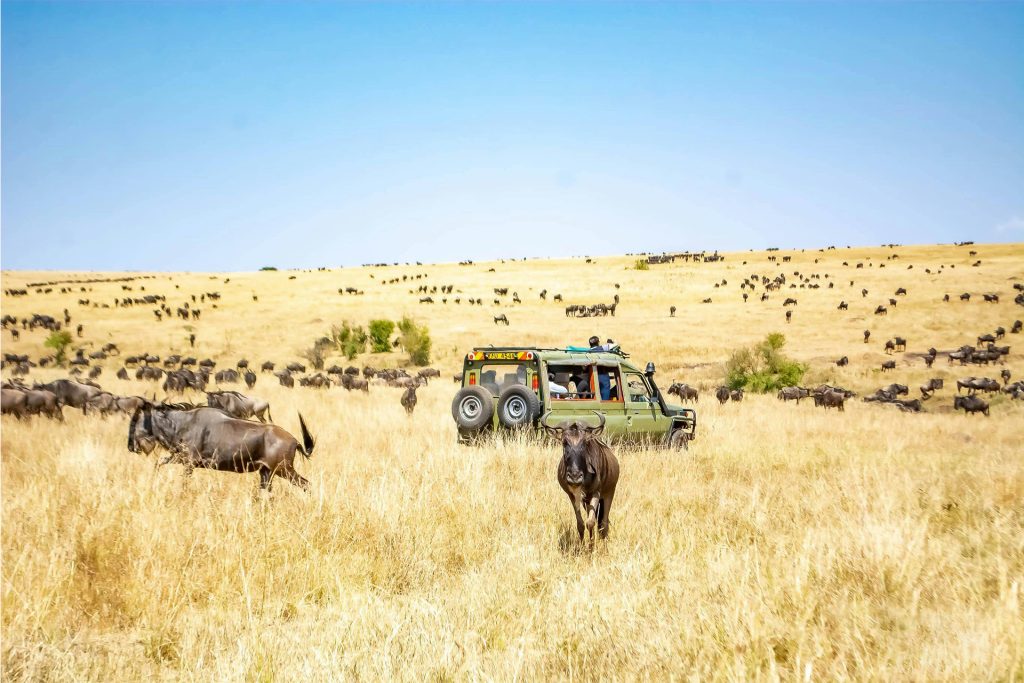 tsavo east