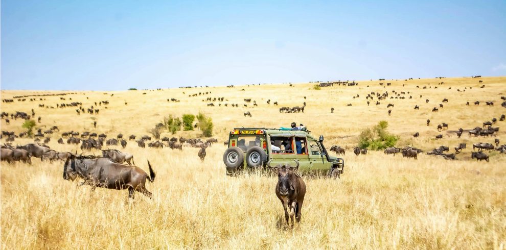 tsavo east