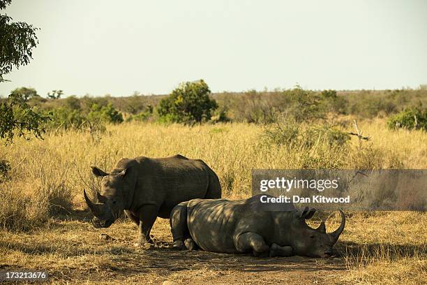 gettyimages-173213676-612×612