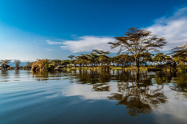 Lake Naivasha, Kenya.
