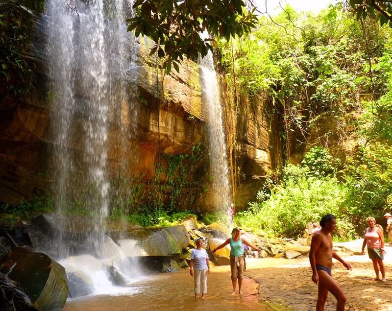 shimba-hills-elephants-4-attractions