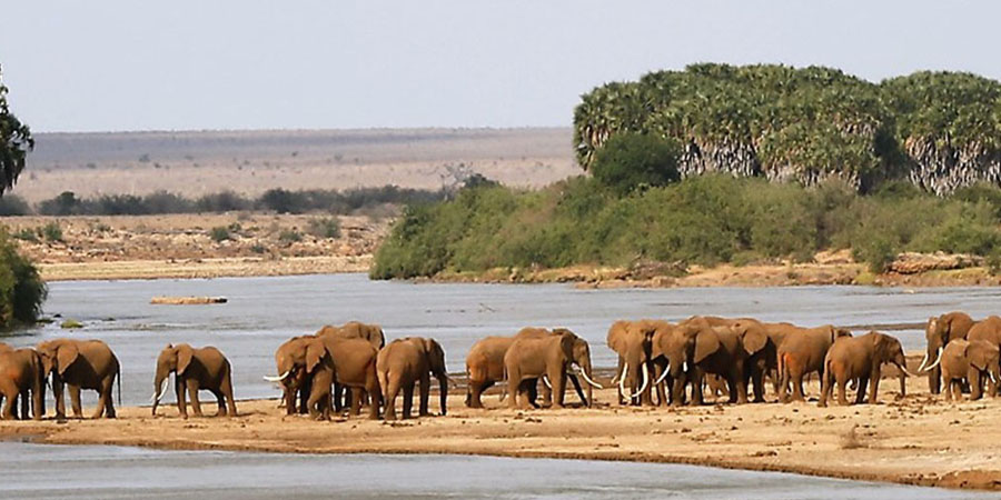 Tsavo-West-National-Park