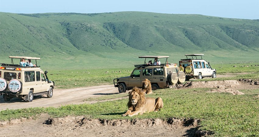 serengeti 2
